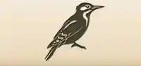 Woodpecker silhouette