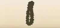 Lei silhouette