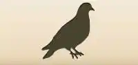 Pigeon silhouette