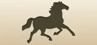 野生馬