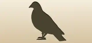 ハト