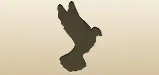 ハト