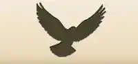 Pigeon silhouette