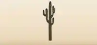 Cactus silhouette