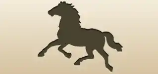 野生馬
