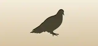 Pigeon silhouette