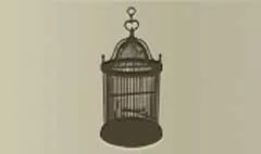 Birdcage