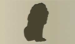 Lion silhouette