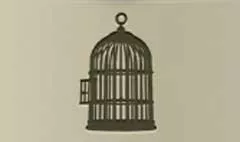 Birdcage