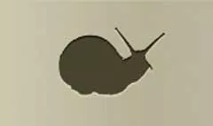 Snail