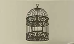 Birdcage