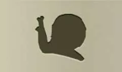 Snail