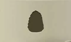 Pinecone