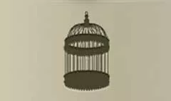 Birdcage