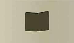 Cigarette Case