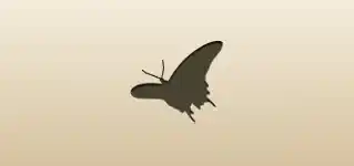 Butterfly silhouette