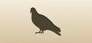 Pigeon silhouette