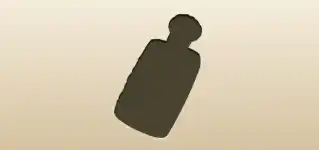 Hip Flask silhouette