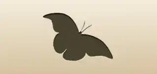Butterfly silhouette