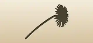 Dandelion silhouette