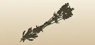 Lavender silhouette