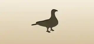 Pigeon silhouette