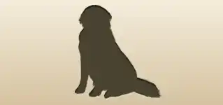 Dog silhouette
