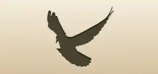 Pigeon silhouette