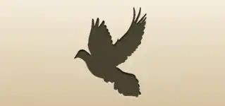 Pigeon silhouette