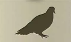 ハトのシルエット