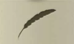 麦のシルエット