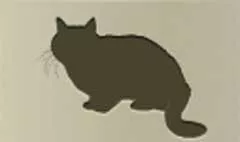 ネコのシルエット