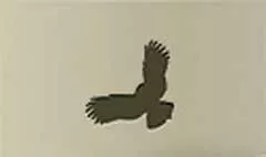 フクロウのシルエット