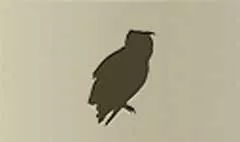 フクロウのシルエット