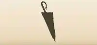 Umbrella