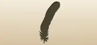 鳥の羽
