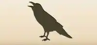 Crow silhouette
