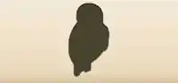 Owl silhouette