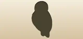 フクロウ