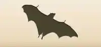 Bat silhouette