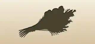 花束