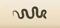 Snake silhouette
