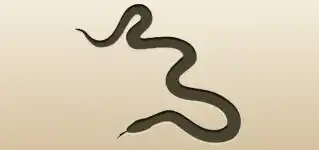ヘビ