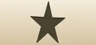 スター