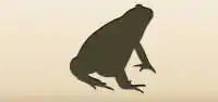 Frog silhouette
