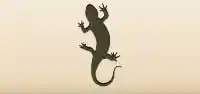 Lizard silhouette