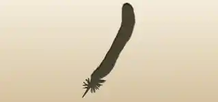 鳥の羽