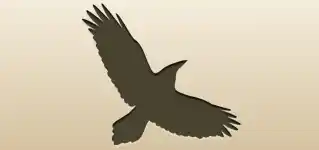 カラス