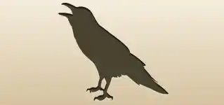 カラス