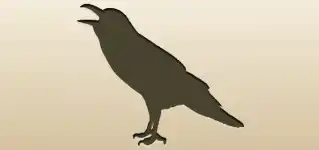 カラス